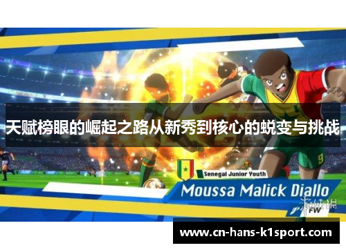 天赋榜眼的崛起之路从新秀到核心的蜕变与挑战