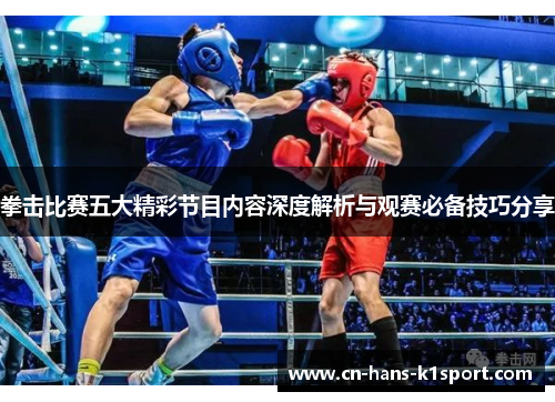 拳击比赛五大精彩节目内容深度解析与观赛必备技巧分享