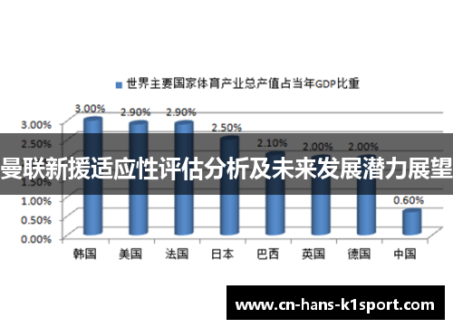 曼联新援适应性评估分析及未来发展潜力展望