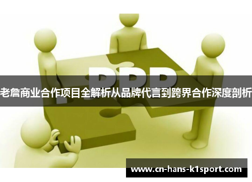 老詹商业合作项目全解析从品牌代言到跨界合作深度剖析